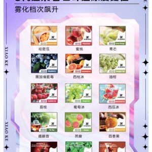 XIAOKE 可替換式電子煙 (適配 RELX6代) (標準款)